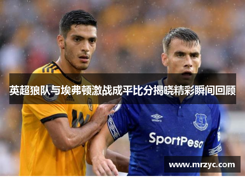 英超狼队与埃弗顿激战成平比分揭晓精彩瞬间回顾